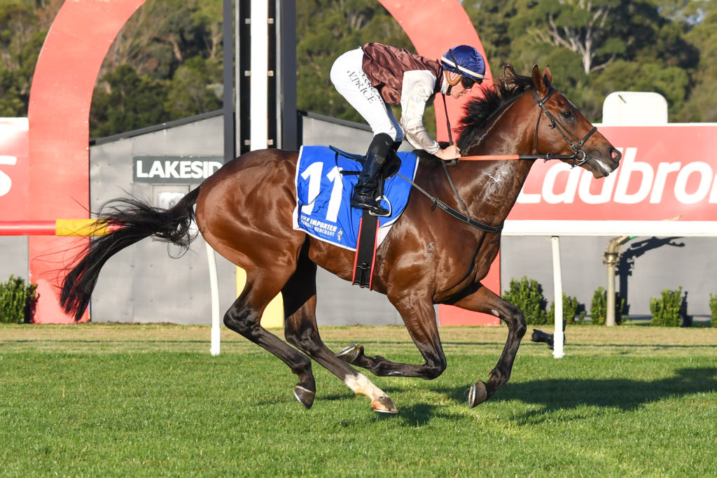 /r7/ | Just Horse Racing