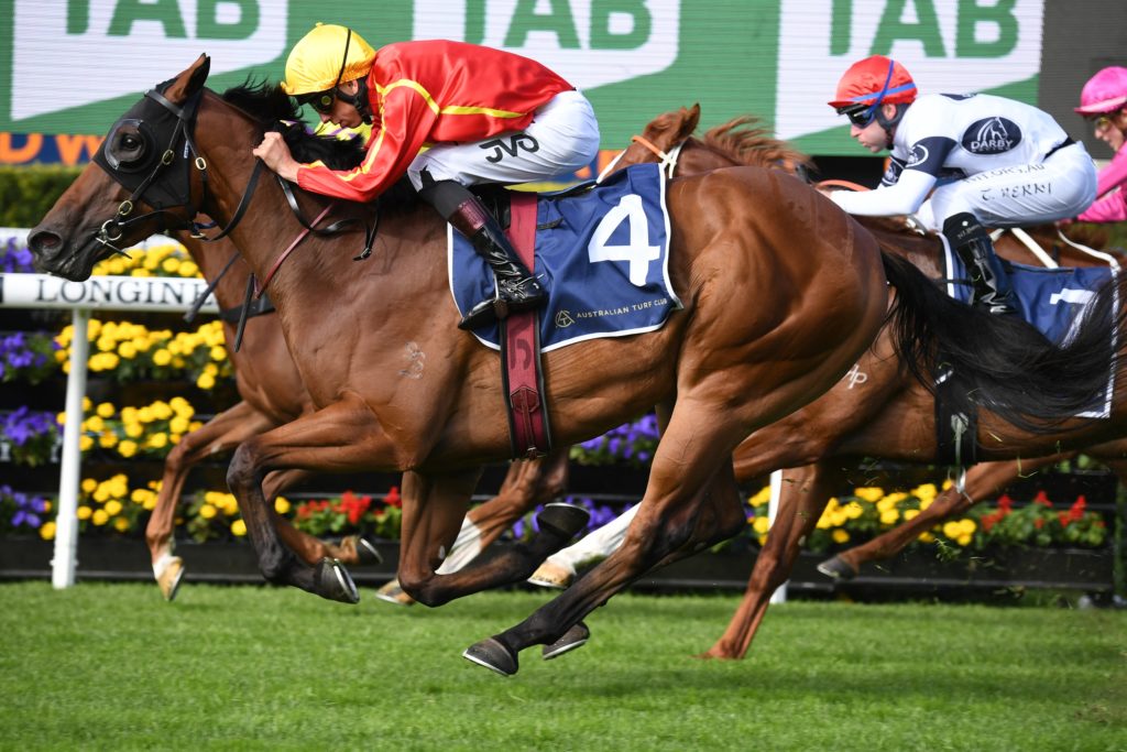 Park Avenue 290521 8742 | Just Horse Racing
