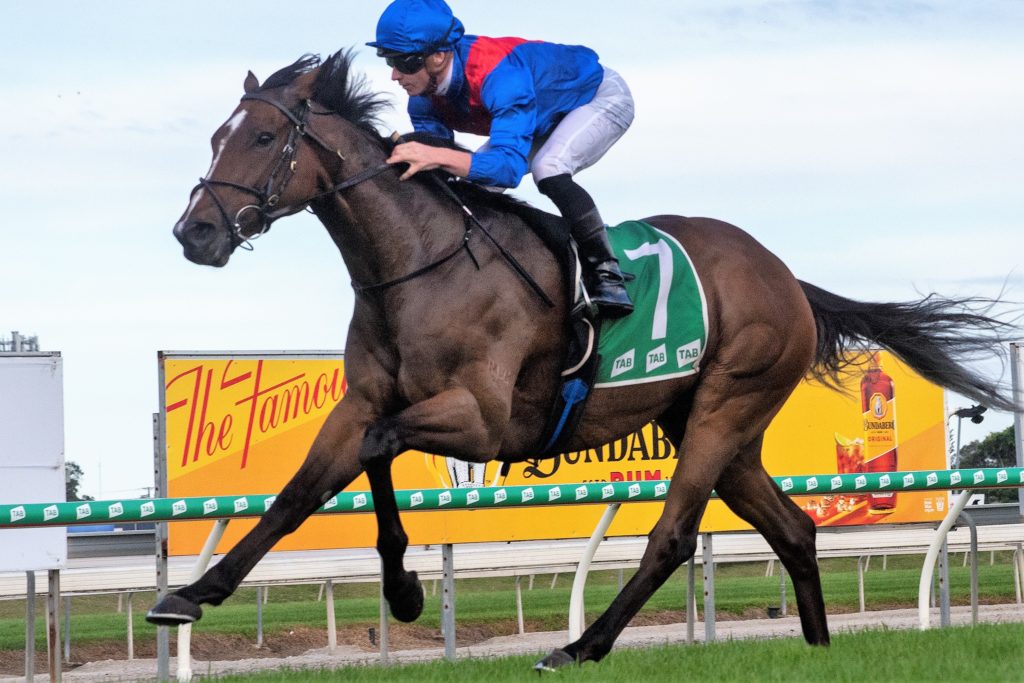 R8 - Zaaki | Just Horse Racing