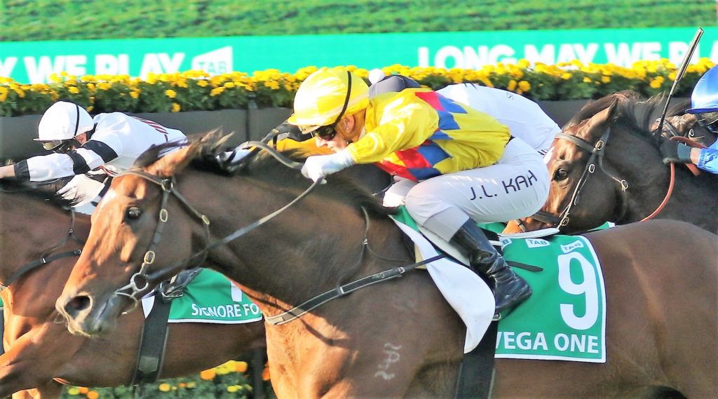 Vega One (3) | Just Horse Racing