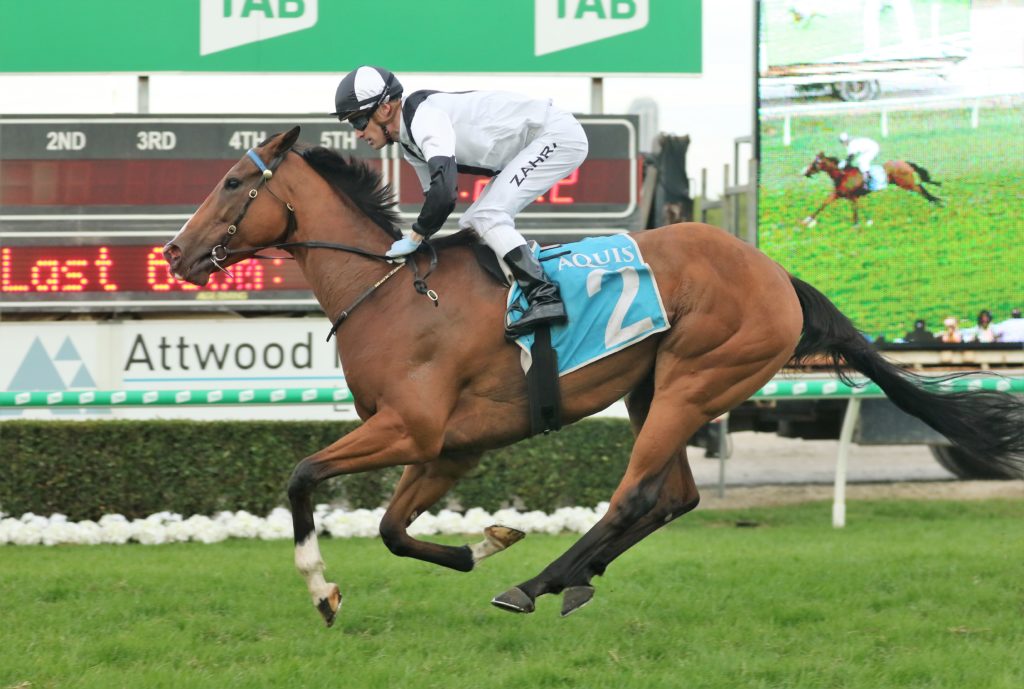 Yamazaki (3) | Just Horse Racing
