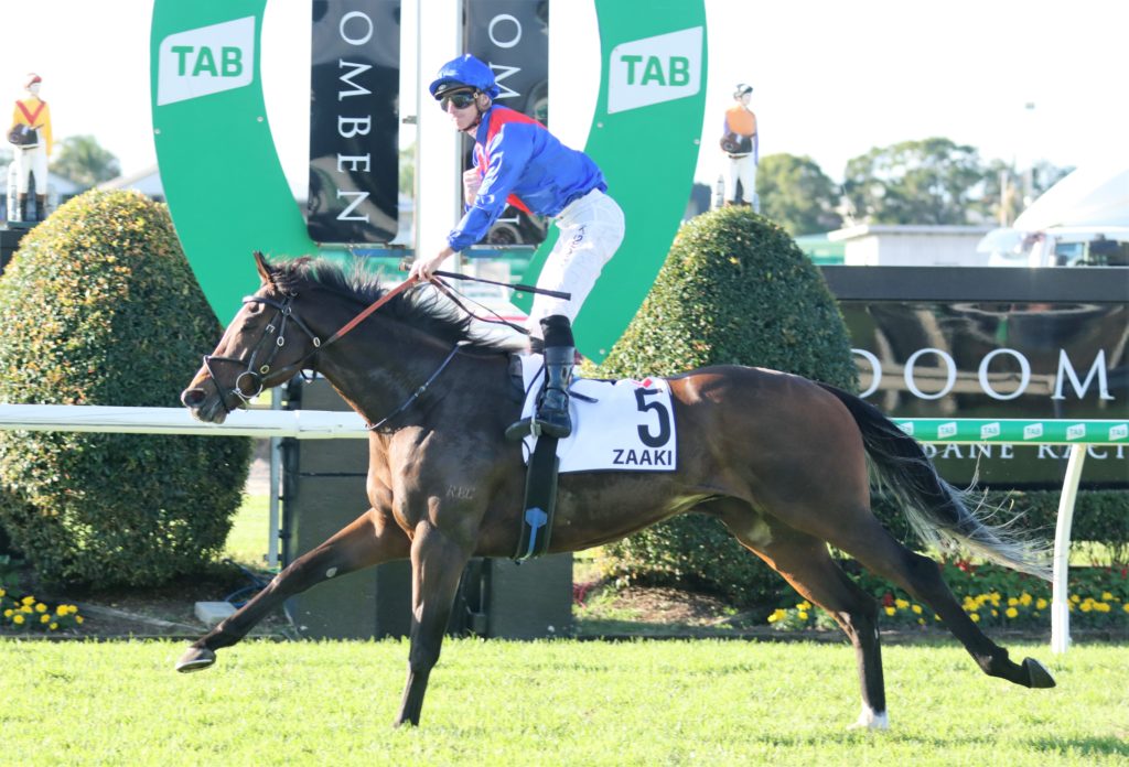 Zaaki (2) | Just Horse Racing