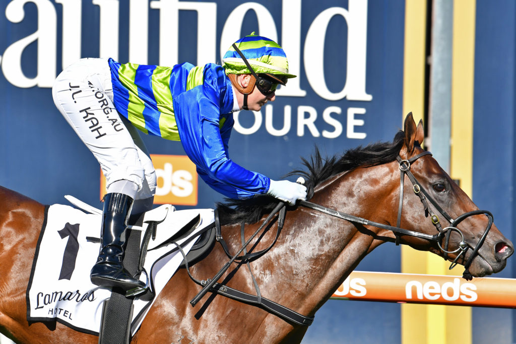 Generation | Just Horse Racing