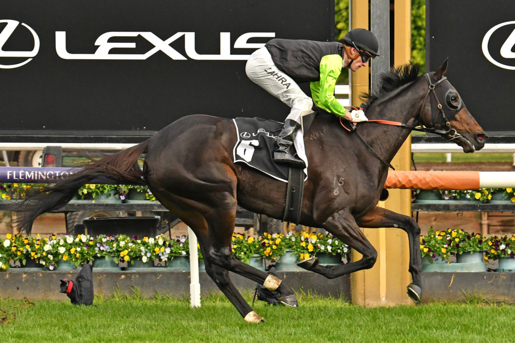 Realm Of Flowers | Just Horse Racing