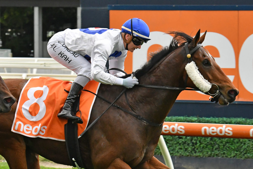 Streetcar Stranger | Just Horse Racing