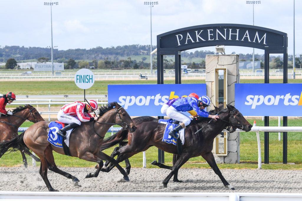 Pakenham Synthetic | Just Horse Racing Pakenham Synthetic