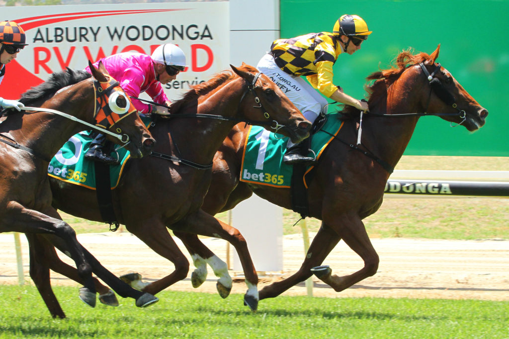 /r1/ | Just Horse Racing