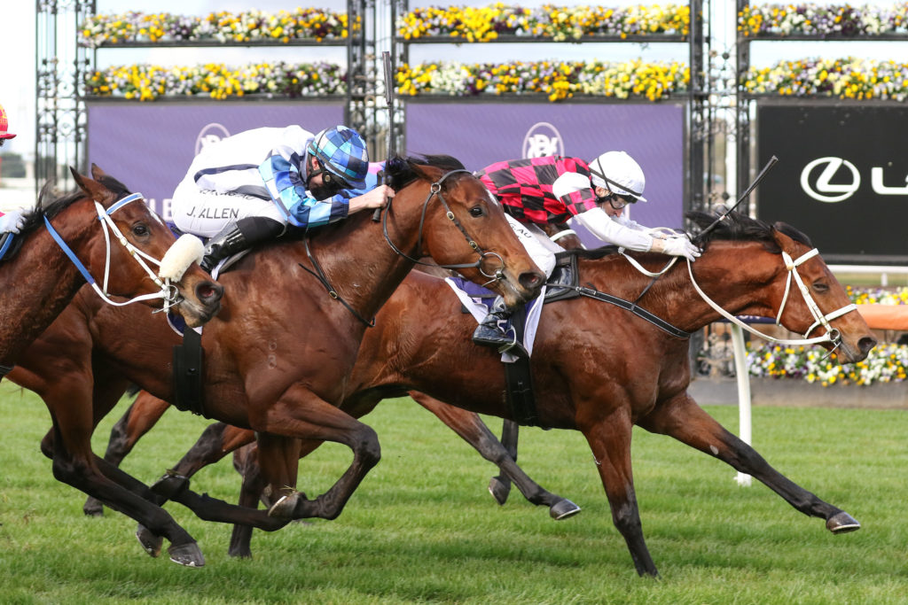 Celestial Fury_19-06-2021_WIN_Flemington_1__32 | Just Horse Racing