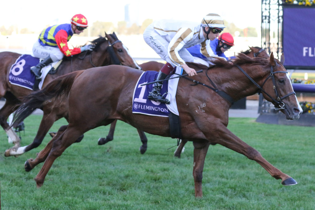Dice Roll_19-06-2021_WIN_Flemington_8__968 | Just Horse Racing