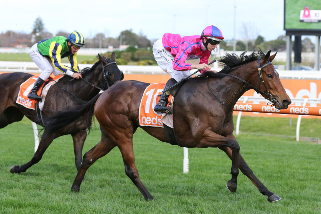 Divine Diosa_26-06-2021_WIN_Caulfield_5__561 | Just Horse Racing