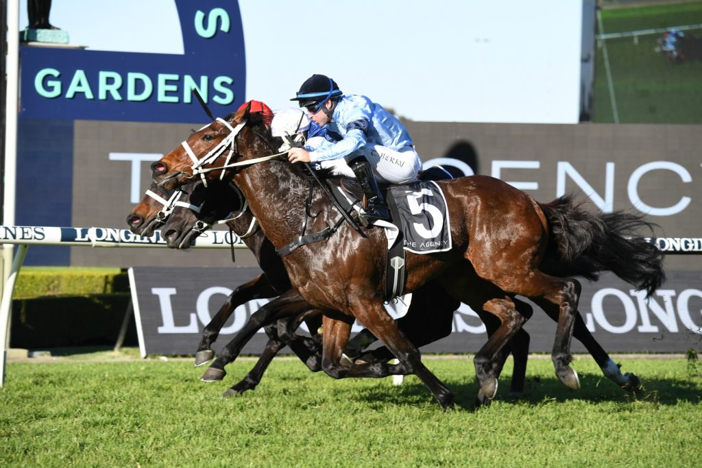 Great House 050621 1705 | Just Horse Racing