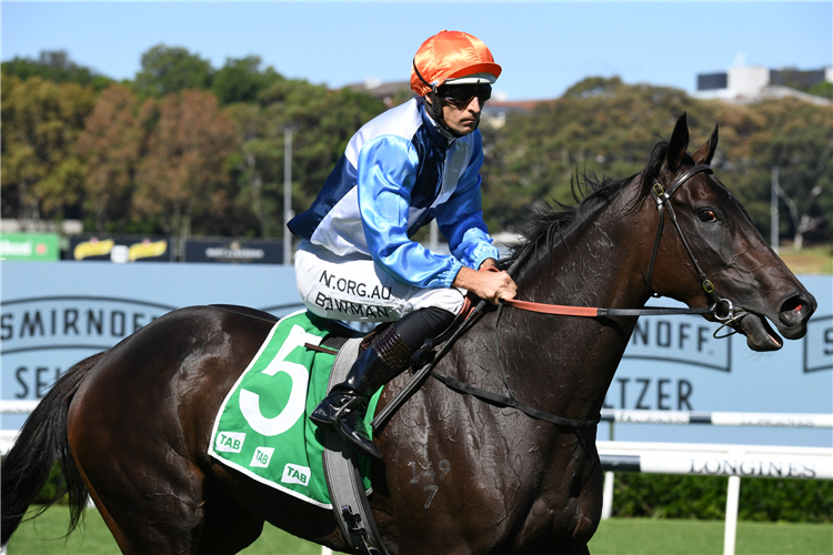 Cummings Filly To Relish Rise In Trip | Just Horse Racing