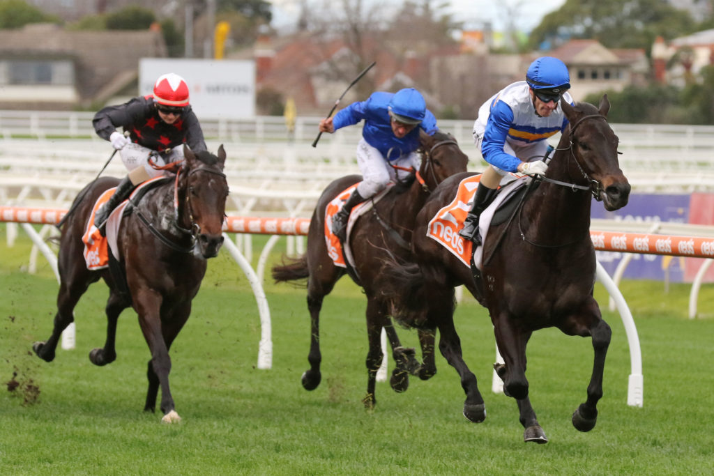 Jigsaw_26-06-2021_WIN_Caulfield_1__9 | Just Horse Racing