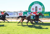 Mildura races