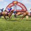 Murray Bridge Races | Just Horse Racing