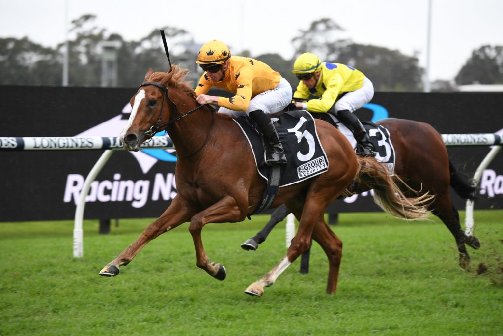 Royalzel 190621 4481 | Just Horse Racing