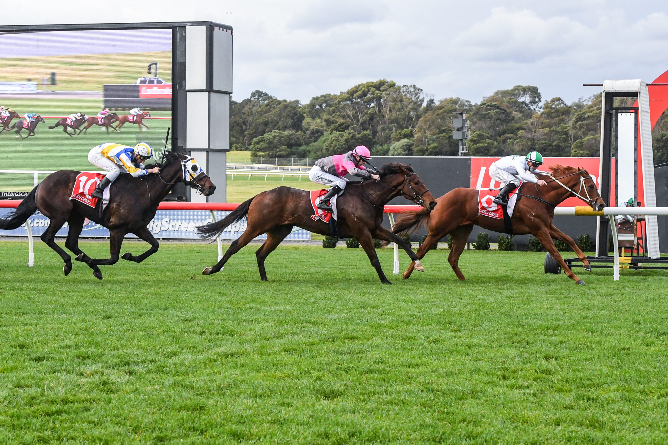 Sarodec leads throughout to win at Sandown - Vimarsana News