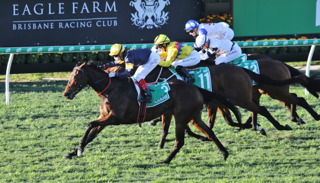 Tofane (2) | Just Horse Racing