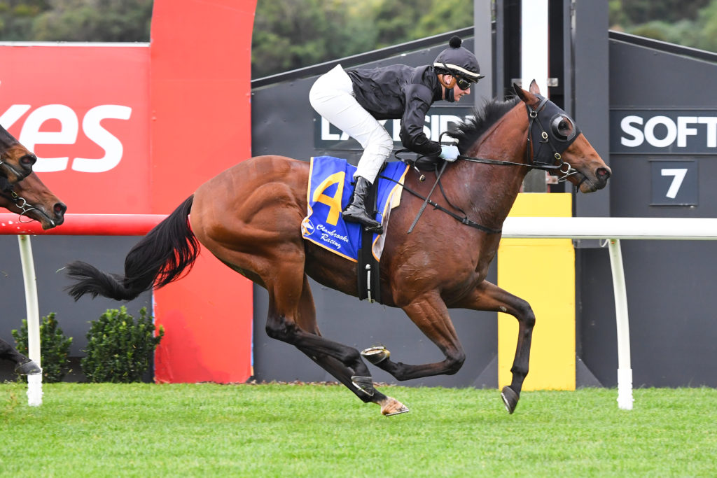 /r1/ | Just Horse Racing