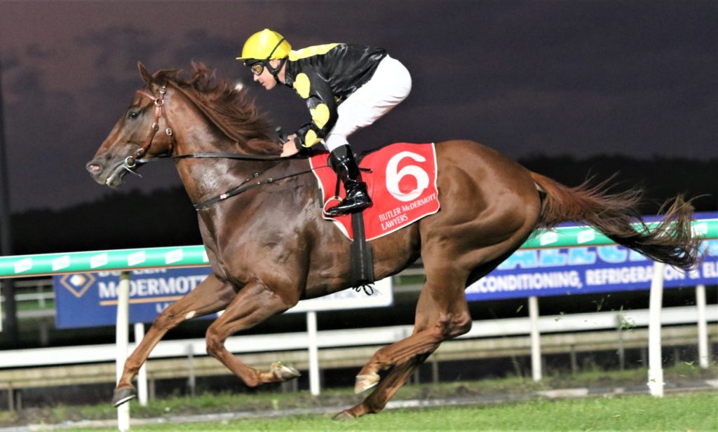 orbison 2 | Just Horse Racing