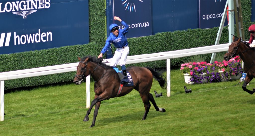 Adayar | Just Horse Racing