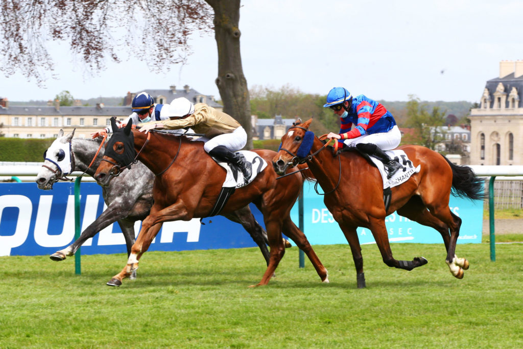 Harmysian | Just Horse Racing