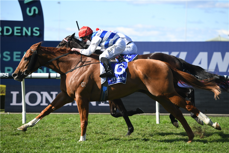 Chat all the talk after July Sprint win | Just Horse Racing
