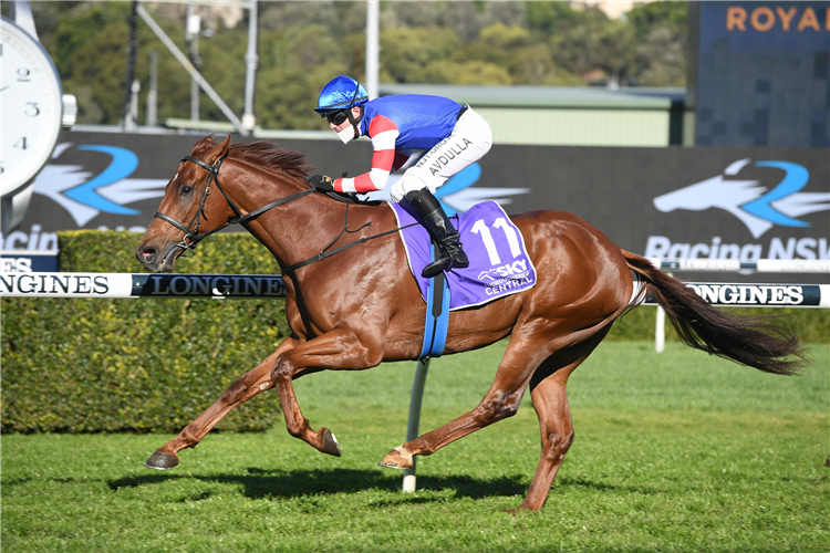 Lord Zoulander bounces back in the Midway | Just Horse Racing