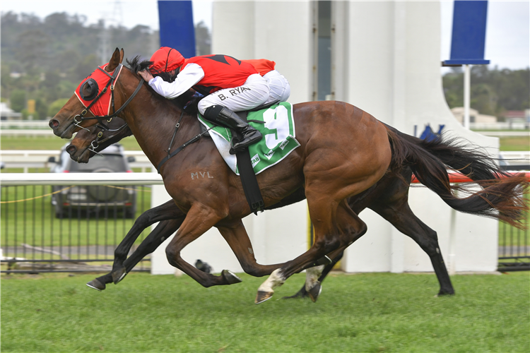 Missed trial a setback for Midway aspirant | Just Horse Racing