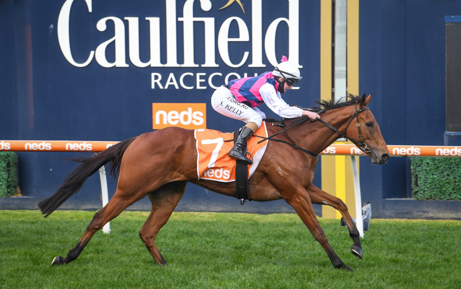King Magnus registers second consecutive win at Caulfield