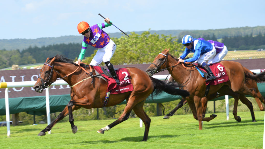 Lady Bowthorpe | Just Horse Racing
