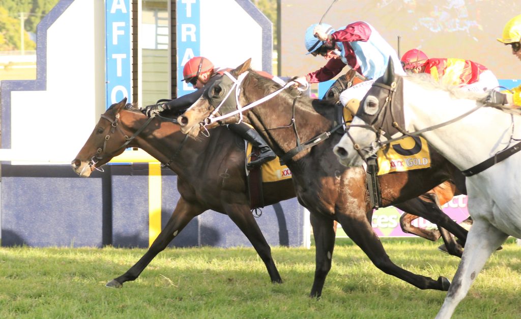 Purrfect Deal (2) | Just Horse Racing