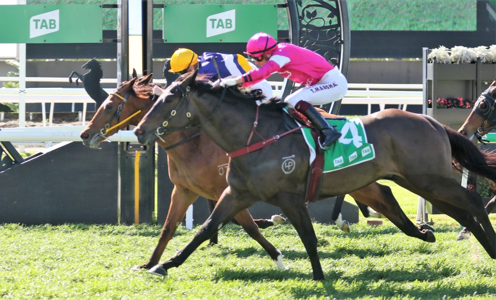 Release The Beans (2) | Just Horse Racing