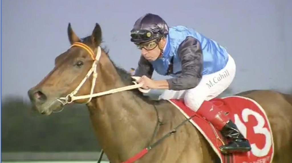 Rogue Rocker | Just Horse Racing
