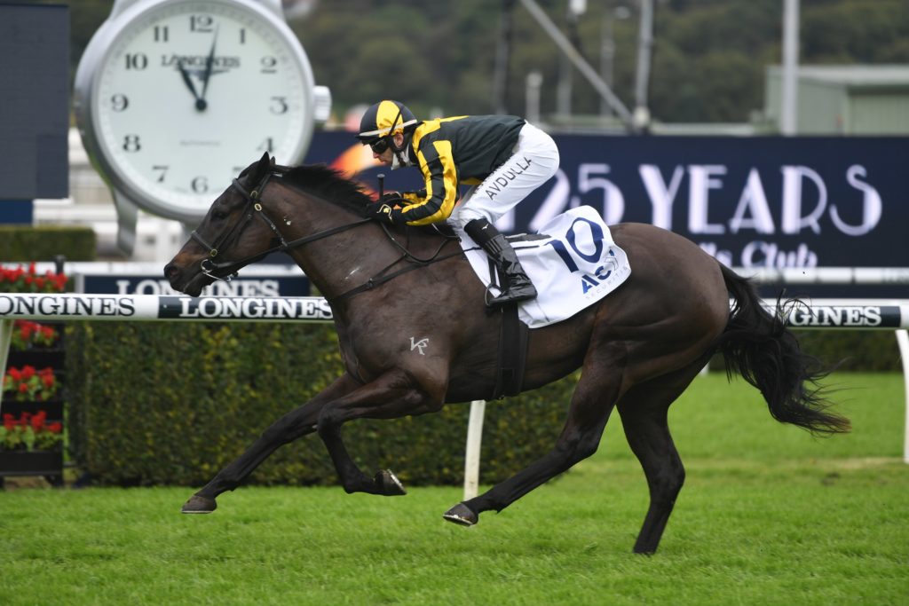 Sky's the limit for Gary Portelli's youngster - Vimarsana News