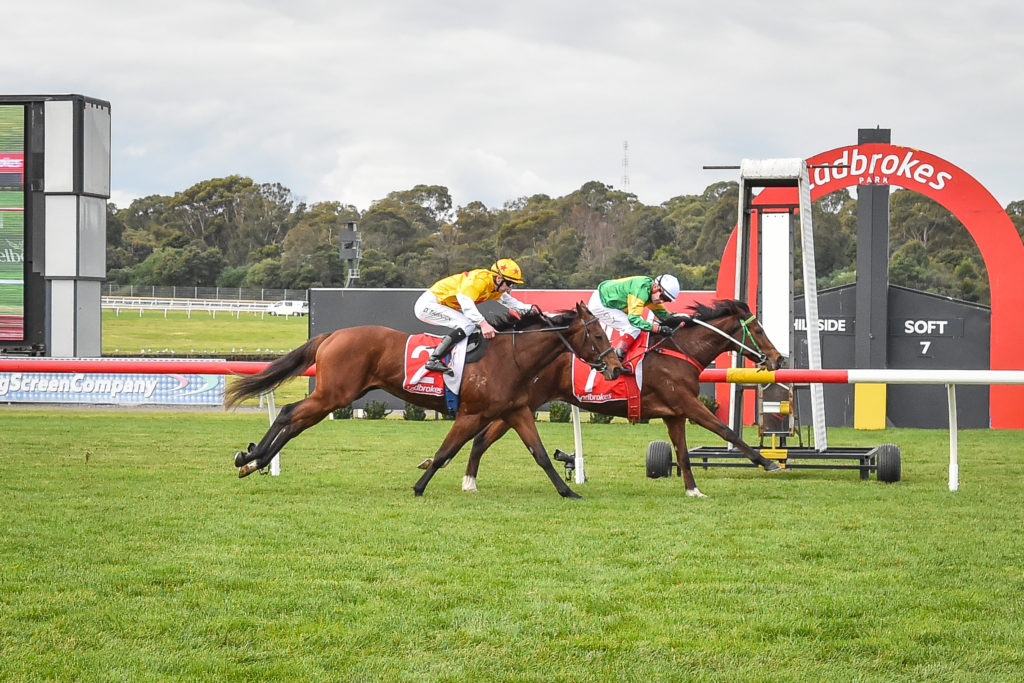 Old firm land the prize at Sandown - Vimarsana News