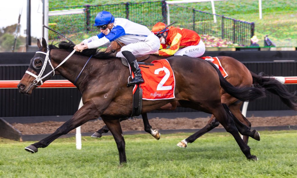 Coastwatch-20210828-8654 | Just Horse Racing