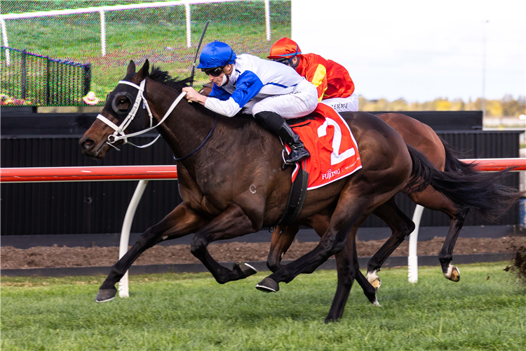 Bright future predicted for Dynasty winner | Just Horse Racing