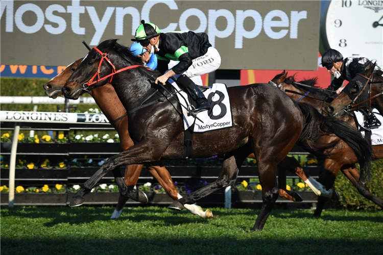 Pride has an Eye on spring riches | Just Horse Racing