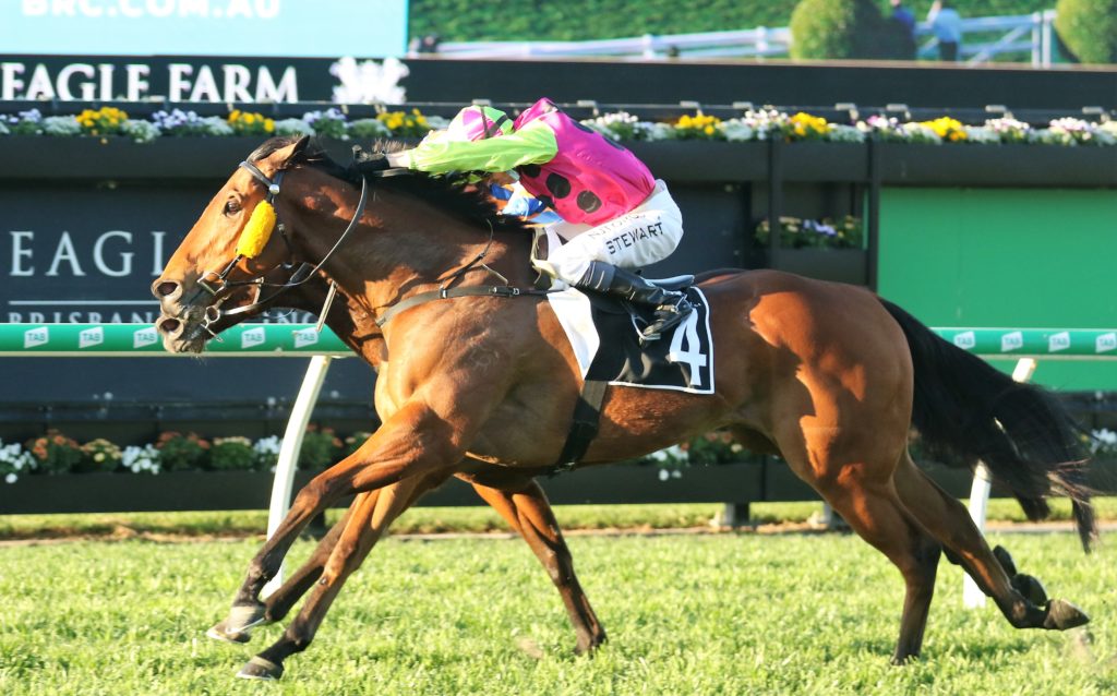KIng Klaus (3) | Just Horse Racing