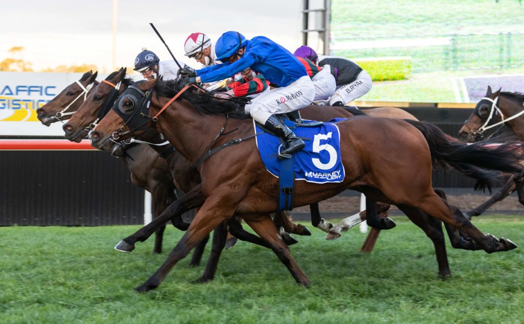 Kordia-20210828-9171 | Just Horse Racing