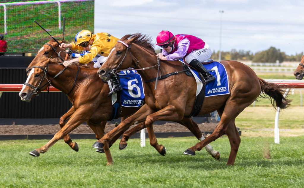 Royalzel-20210828-8365 | Just Horse Racing