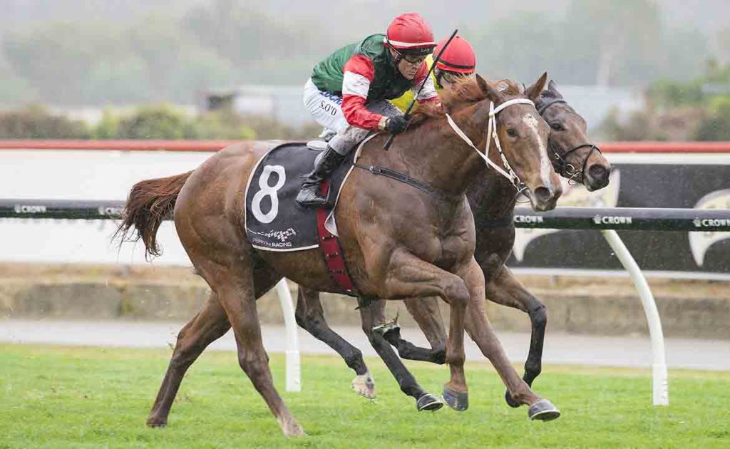 Samizdat | Just Horse Racing