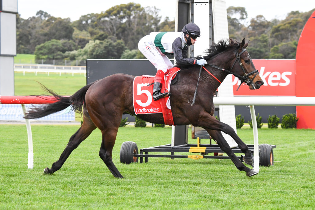 /r2/ | Just Horse Racing
