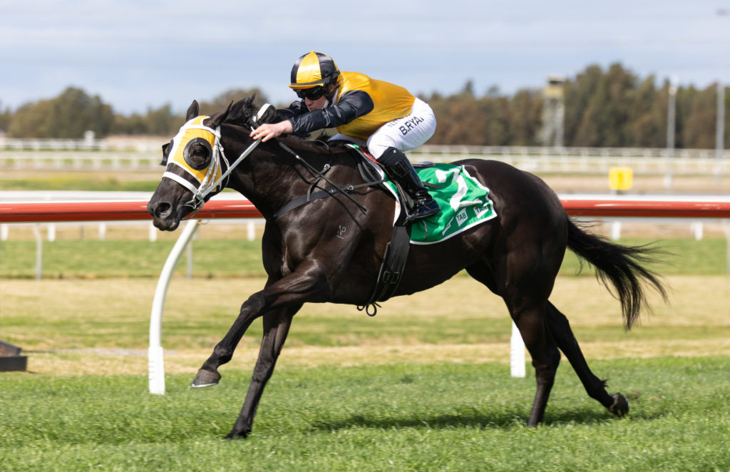 SignoraNera-20210828-8433 | Just Horse Racing