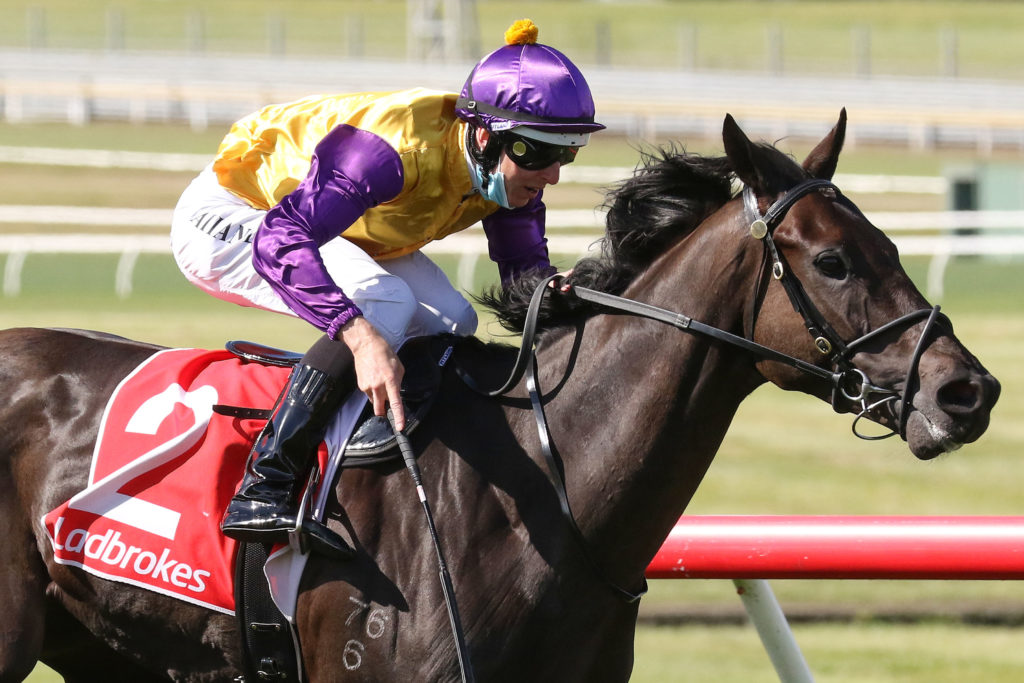 Elephant,Sandown Stakes,Group 3_25-09-2021_WIN_Sandown_5__638 | Just Horse Racing