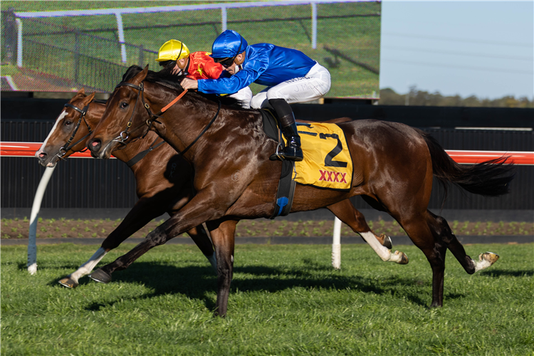 Godolphin’s Everest decision nigh | Just Horse Racing