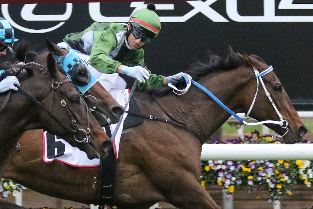 Incentivise,Makybe Diva Stakes,Group 1_11-09-2021_WIN_Flemington_8__1369 | Just Horse Racing