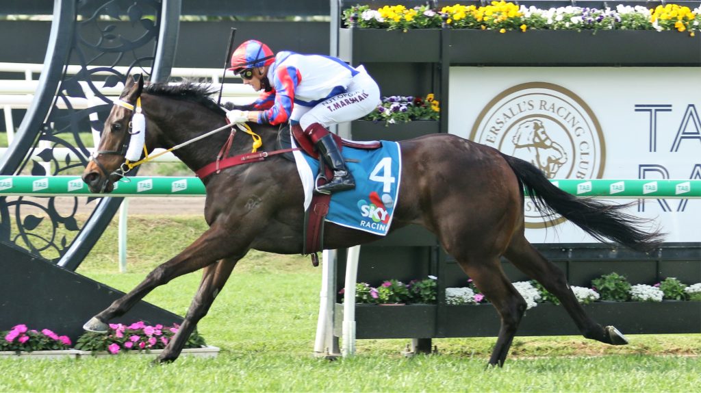 Je Suis Belle (3) | Just Horse Racing