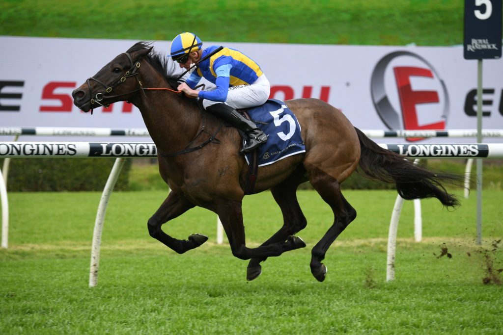 Kiss The Bride 1809213460 | Just Horse Racing